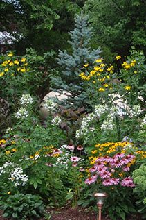 A beautiful garden bed filled with plants from Platt Hill Nursery