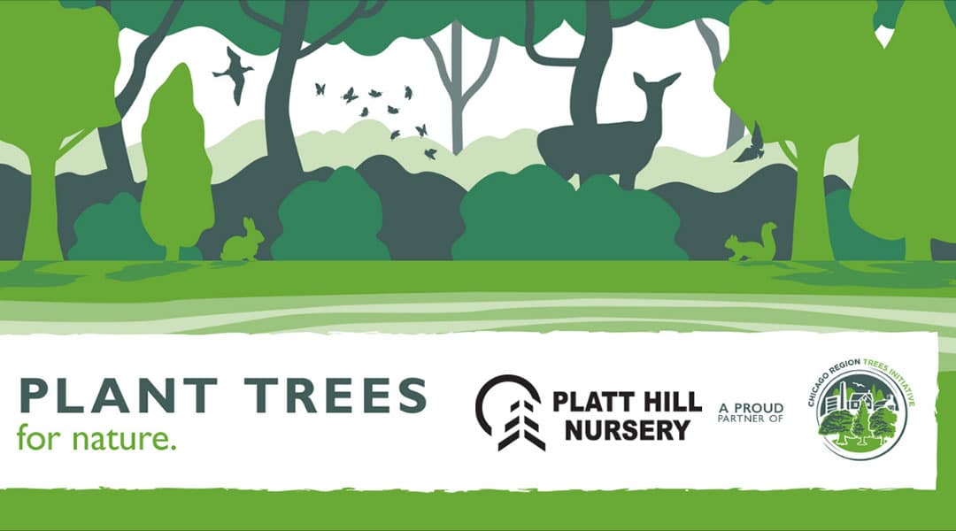 Plant Trees for Nature | Platt Hill Nursery