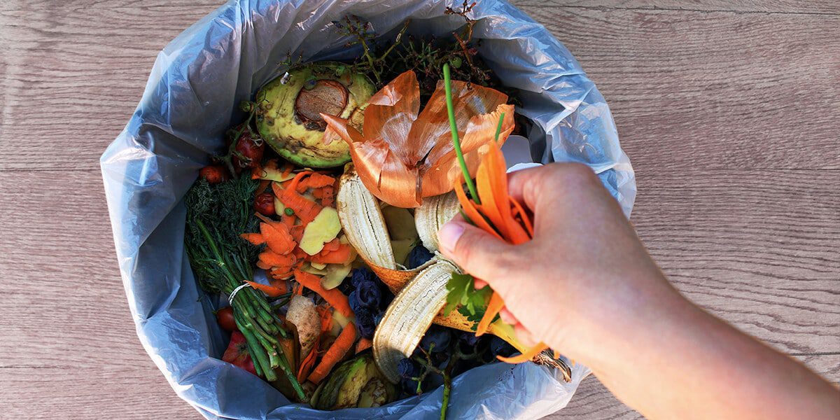 platt hill beginners guide garden soil compost bin kitchen waste