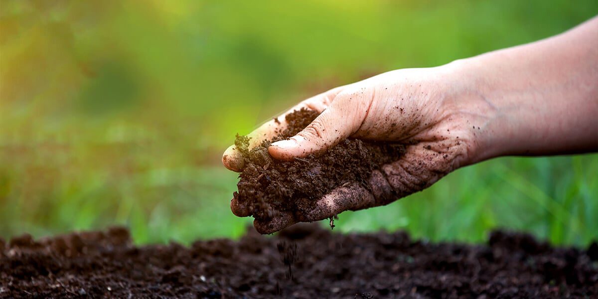 platt hill beginners guide garden soil hand holding soil