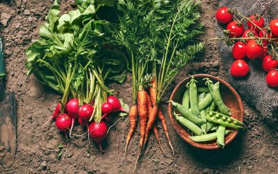 The Top Ten Garden Vegetables and Fruits for Beginners