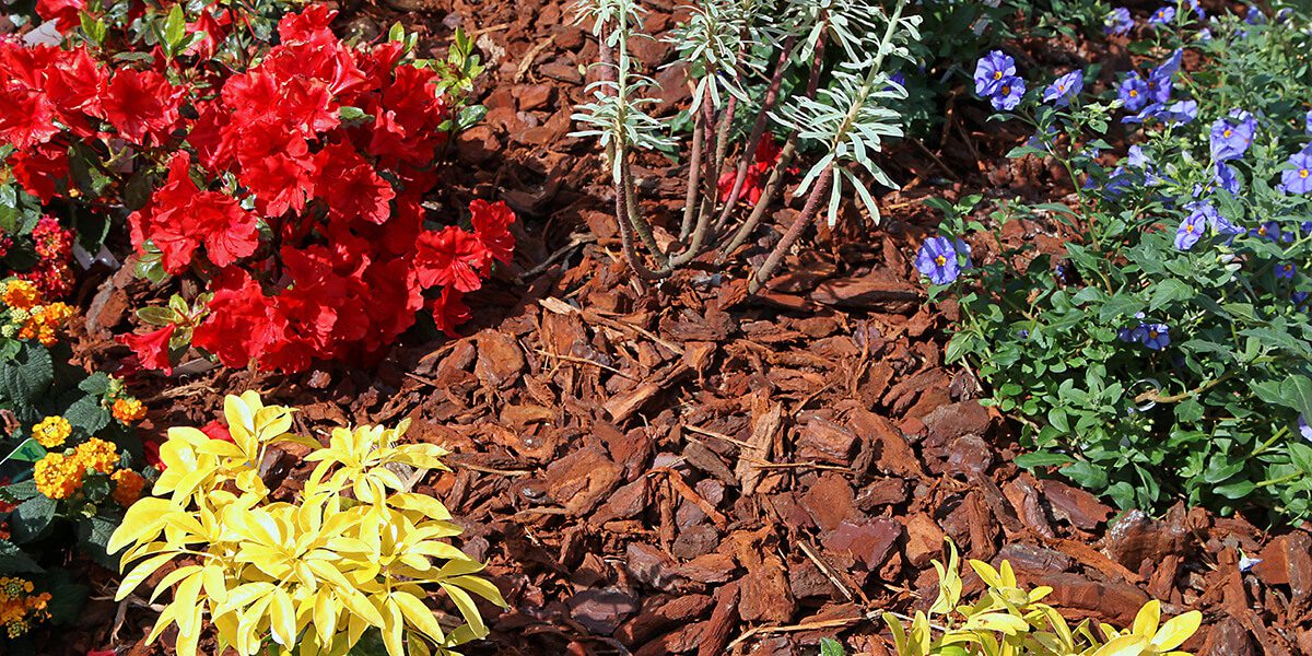 platt hill nursery gardening hacks for beginners flowers with mulch