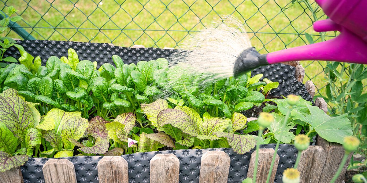 Build a Raised Garden Bed Step-By-Step - Platt Hill Nursery - Blog