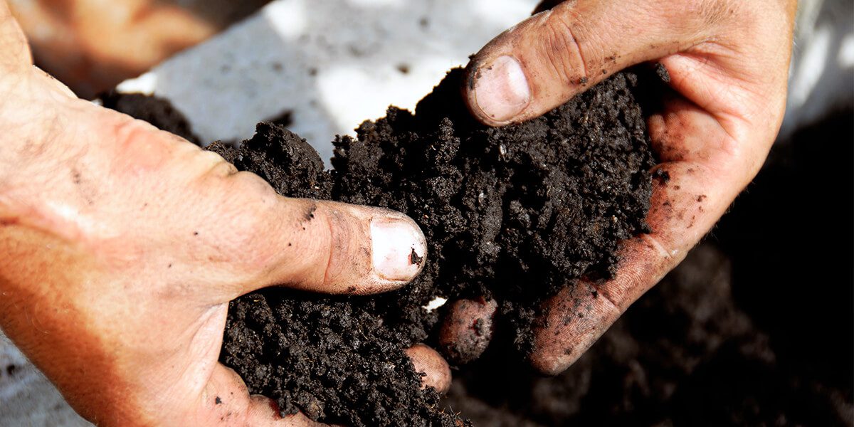 platt hill basic garden maintenance hands holding soil
