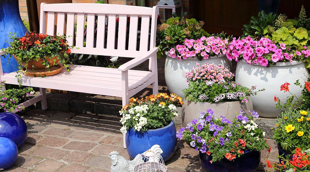 platt hill container design tips bench with many potted flowers