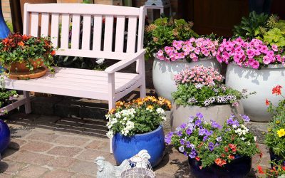 Turn Your Clay Pots into Works of Art - Platt Hill Nursery - Blog & Advice