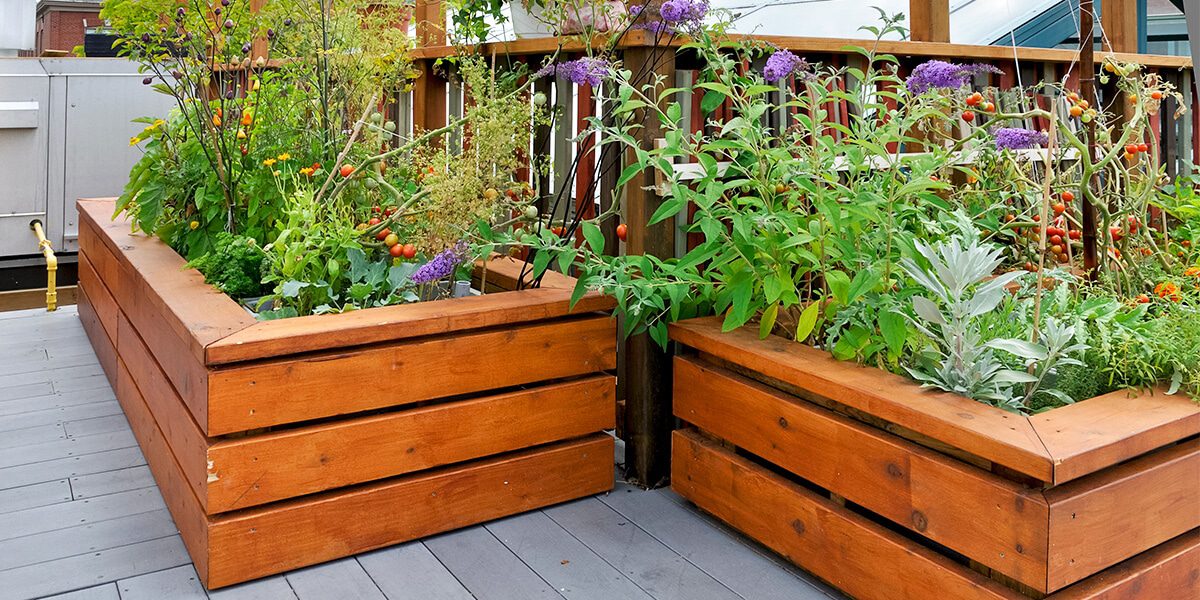 How To Start A Raised Bed Garden, How To Start Raised Garden Beds