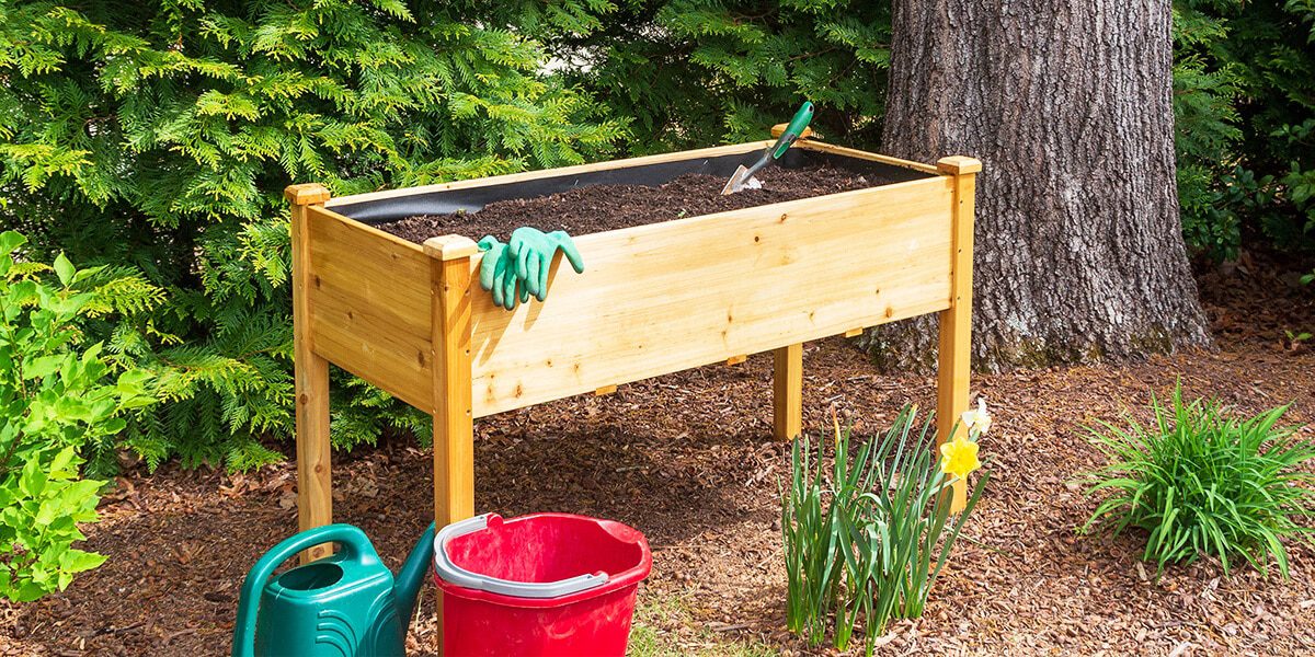 Elevated Raised Bed Gardening: The Easiest Way to Grow!