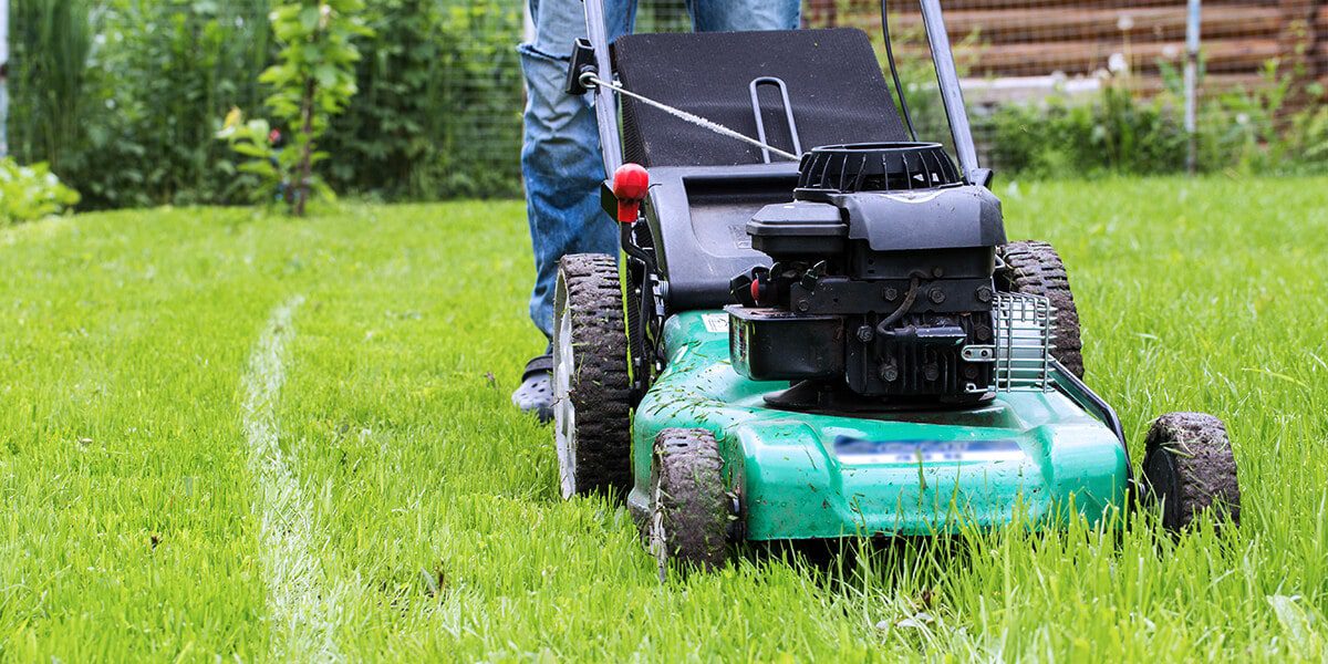 platt hill zone 5 garden checklist mowing lawn