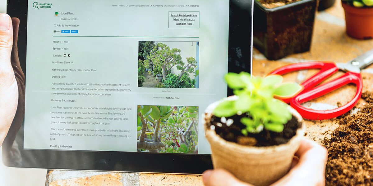 platt hill keep garden plants alive researching plants on tablet garden