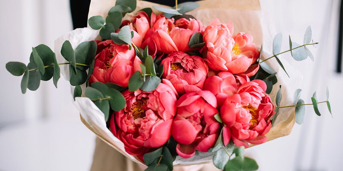 platt hill perfect peonies and care red peony bouquet