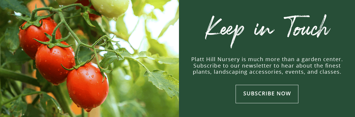 sign up for our newsletter to keep in touch with us! Platt Hill Nursery
