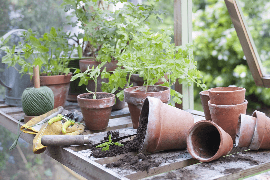 Switch To Terracotta Planters And Say Goodbye To Plant Pests
