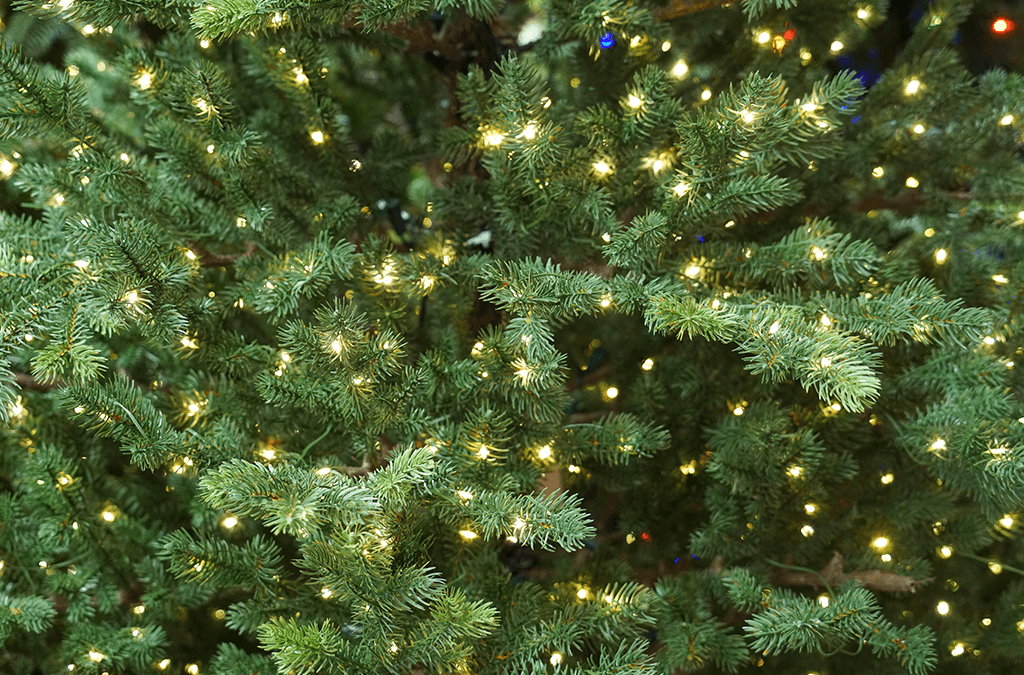 Platt Hill Nursery- pre lit Christmas tree in store