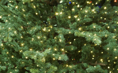 How to Pick the Best Pre-Lit Christmas Tree: A Buying Guide