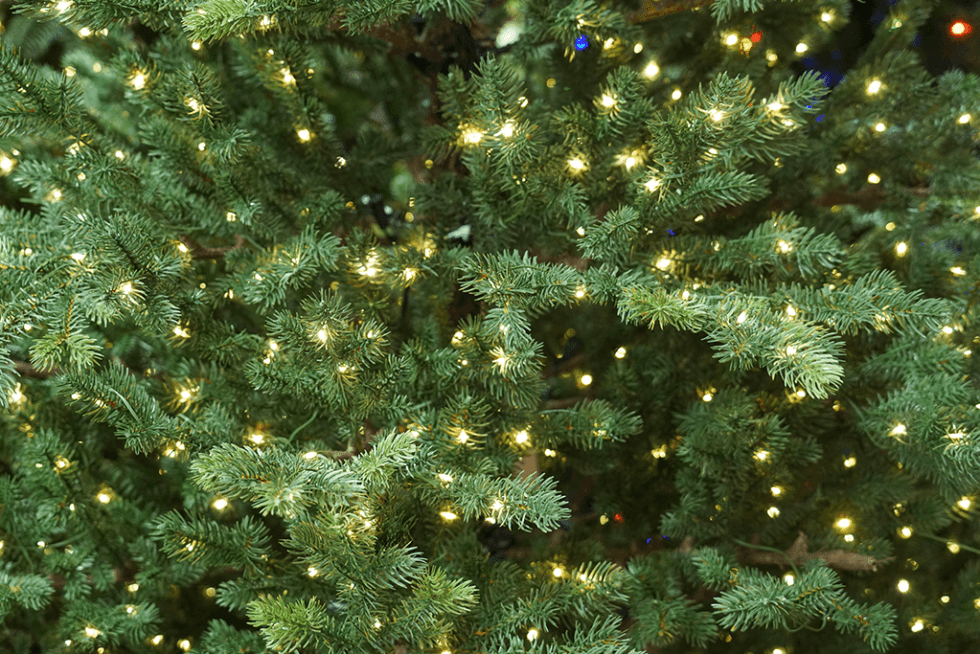 How to Pick the Best PreLit Christmas Tree A Buying Guide Platt