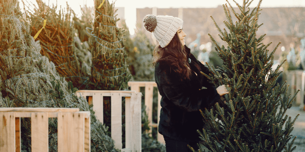 Platt Hill Nursery woman looking at Christmas tree