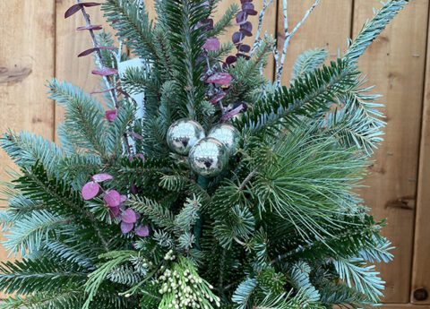 Holiday Planters and Fresh Wreaths | Traditions start at Platt Hill Nursery