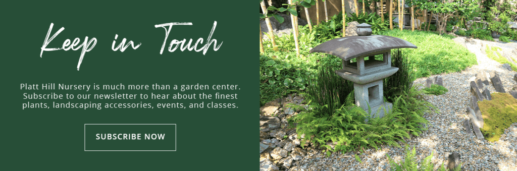 Platt Hill Nursery Zen Rock Garden - newsletter subscribe button