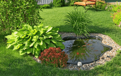 Create a Pretty Backyard Without Planting