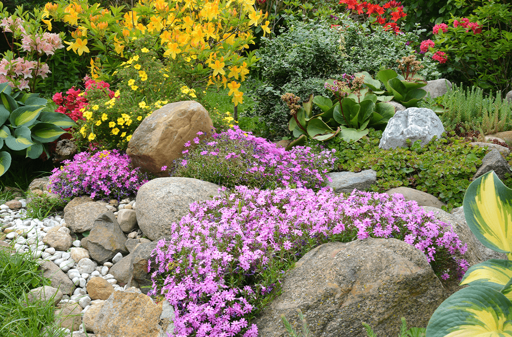 How to Build a Rock Garden - Platt Hill Nursery