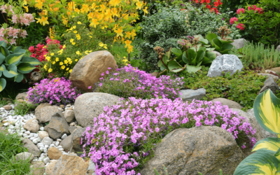 How to Build a Rock Garden