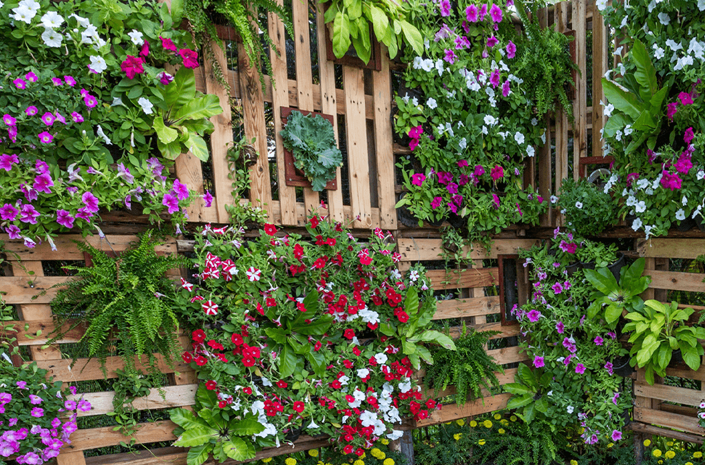 Platt Hill Nursery vertical gardening in the summer
