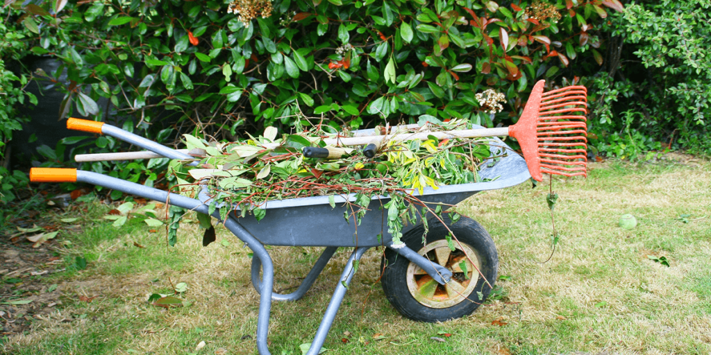 Platt Hill Nursery wheelbarrow for cleaning up landscape