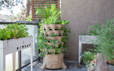 Urban Gardeners Can Grow Vegetables Too!