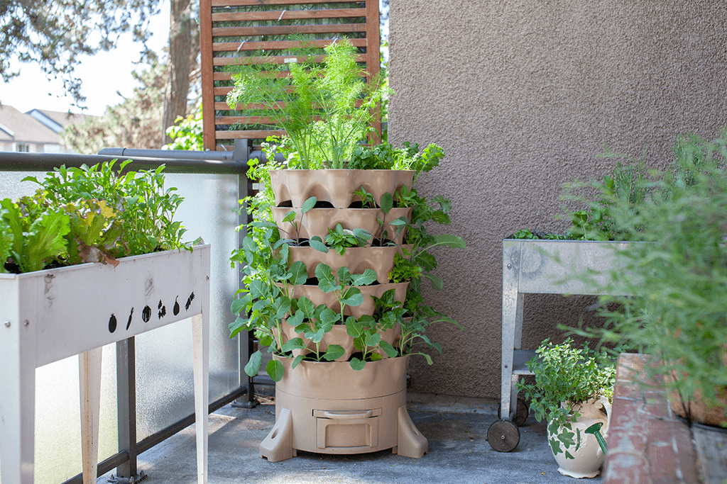 Choosing the best containers for growing vegetables