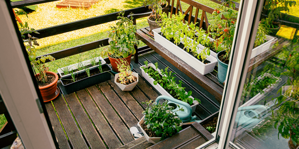 Vegetable garden container ideas for growing crops in pots