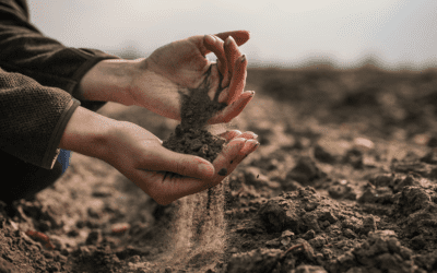 The Best Uses for Topsoil and Garden Soil