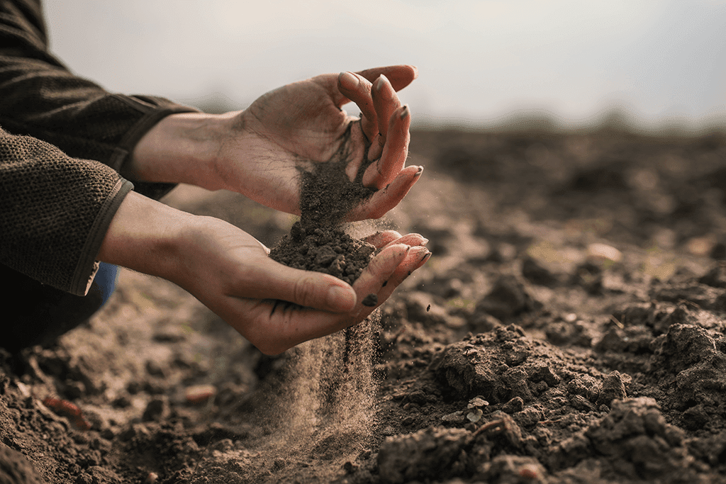 DIY: How To Make Fake Soil and Sand 