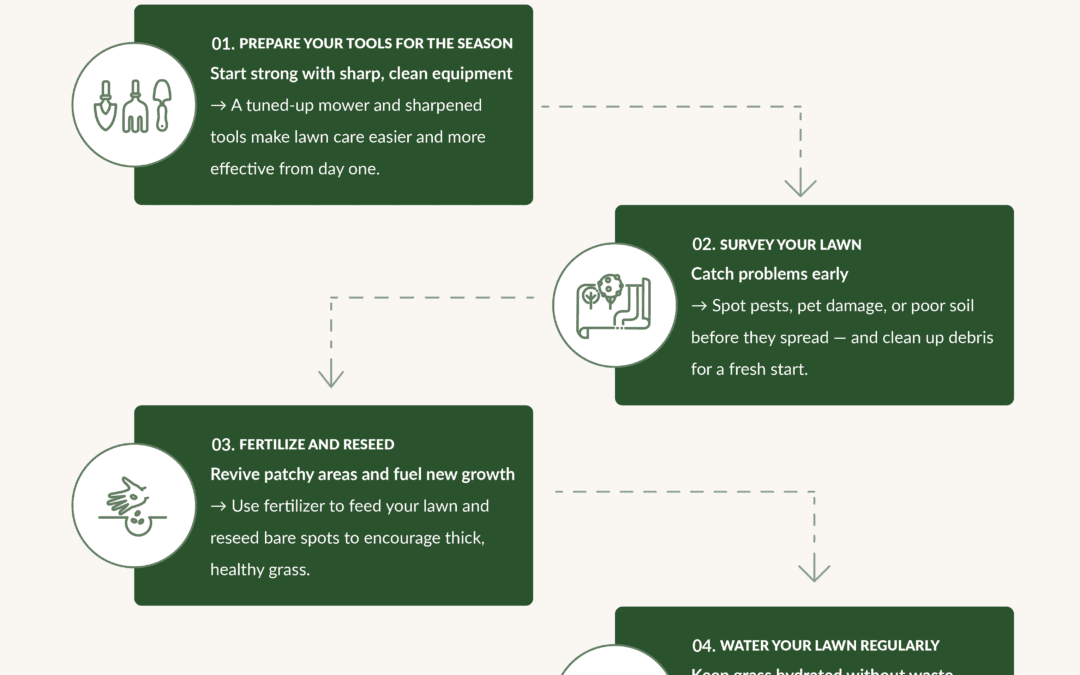 A Guide to Spring Lawn Care