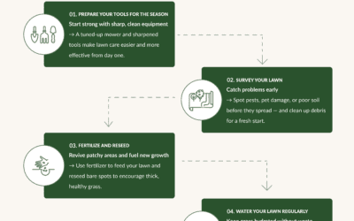 A Guide to Spring Lawn Care