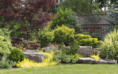 Elements of Landscape Design