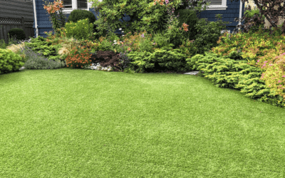 A Guide to Spring Lawn Care