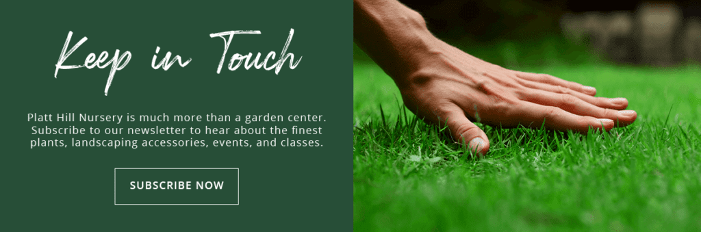 A Guide to Spring Lawn Care, Platt Hill Nursery