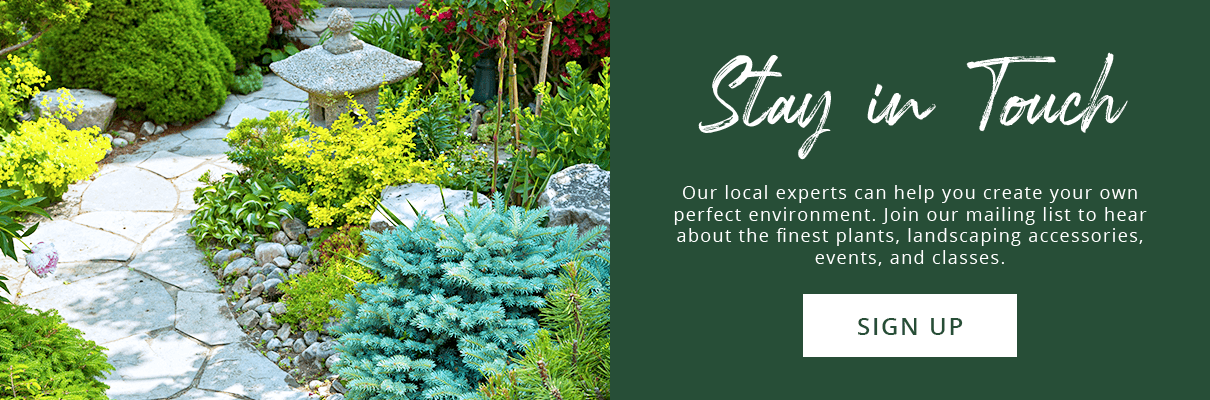 Platt Hill Nursery - All About Pathways newsletter subscription