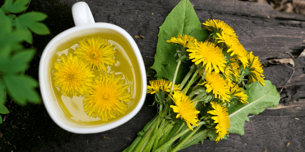 How to Remove Dandelions From Your Lawn For Good