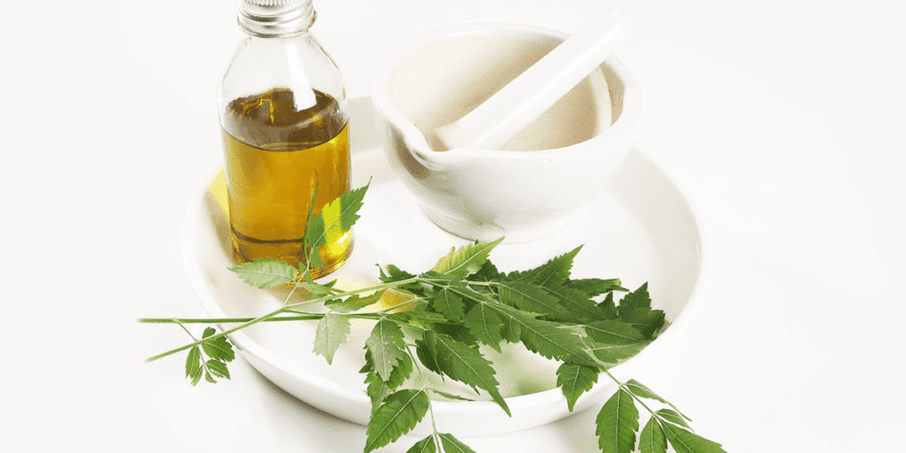 Everything You Need to Know About Neem Oil