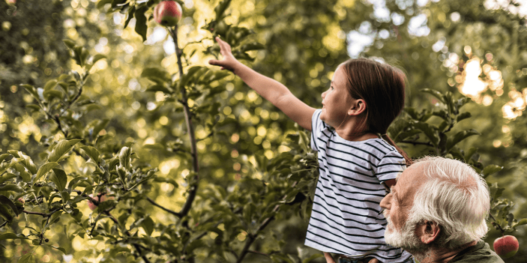 Platt Hill Nursery - Nature Scavenger Walk Chicago - Child picking apples
