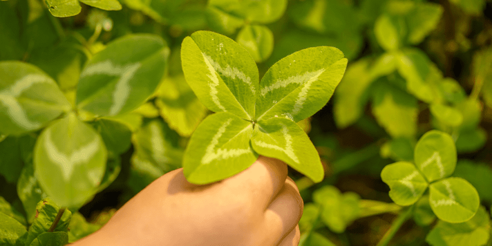 How To Create An Ultimate Nature Scavenger Hunt For The Whole Family 