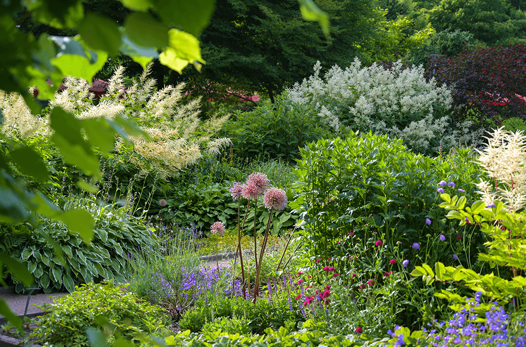 Platt Hill Nursery -styling perennial gardens - beautiful mixed perennial garden