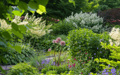 How to Style Perennial Gardens in Chicago