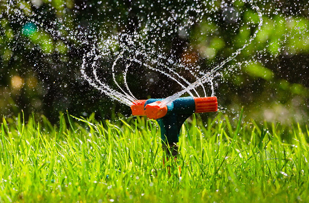 Platt Hill Nursery - Managing Your Landscape in the Heat - lawn sprinkler