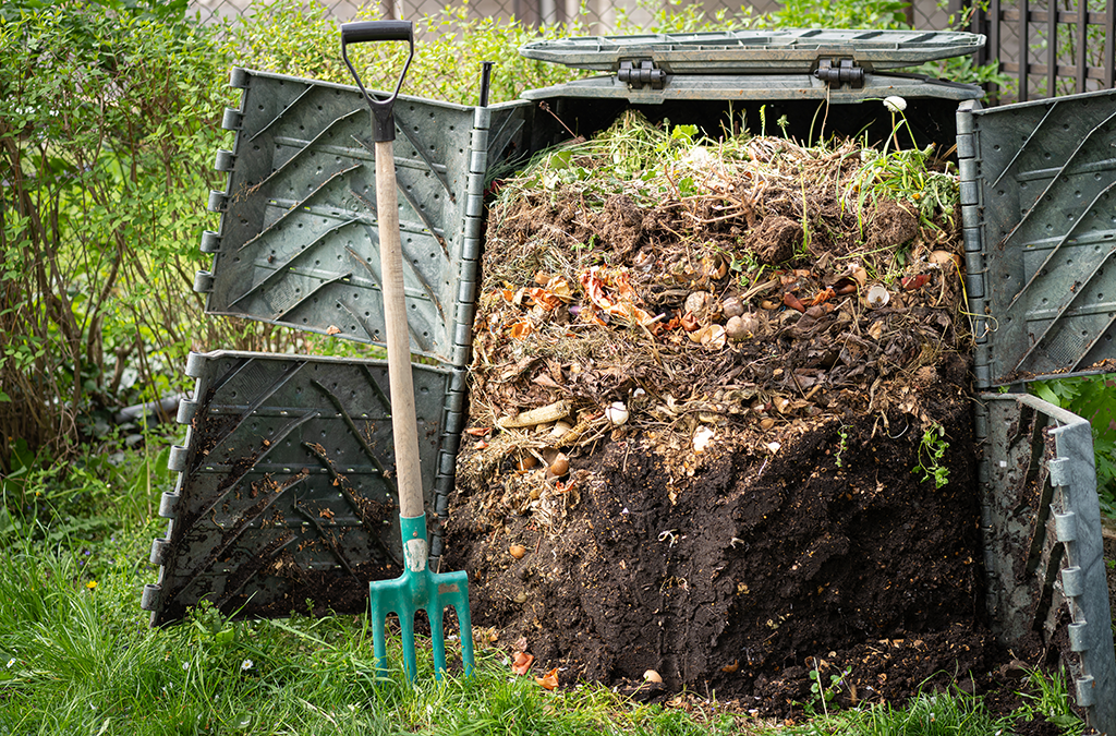 Reduce Your Household Waste with Our Guide to Composting