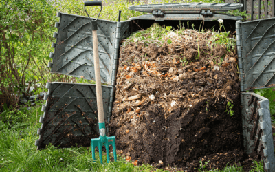 Reduce Your Household Waste with Our Guide to Composting