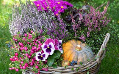 Perk Up Your Porch with These Fall Container Design Ideas