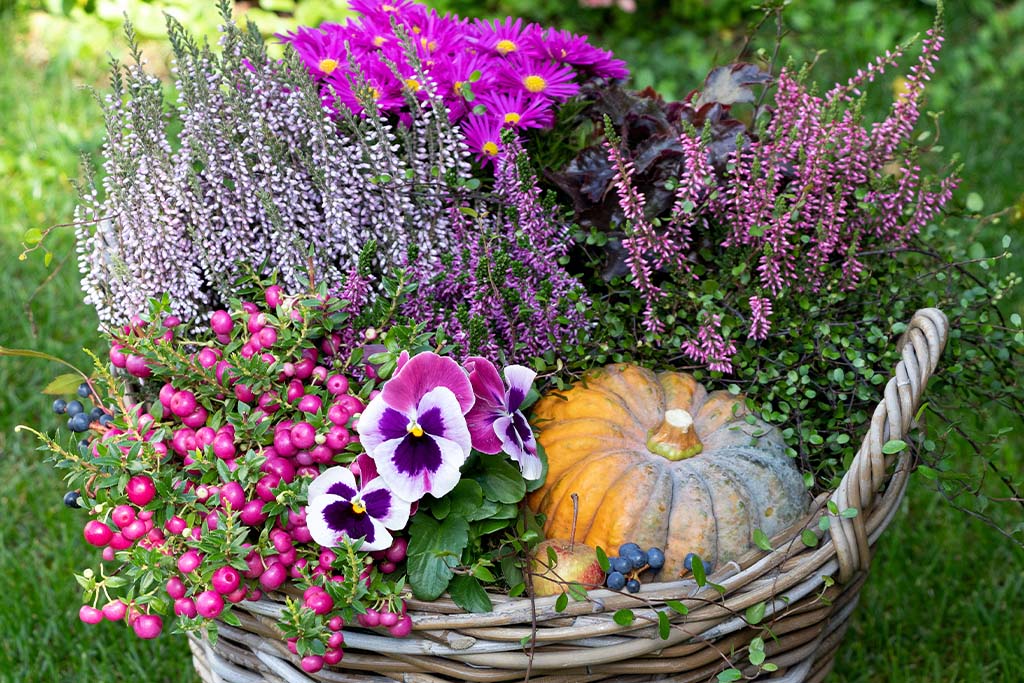 Perk Up Your Porch with These Fall Container Design Ideas - Platt Hill  Nursery - Blog & Advice